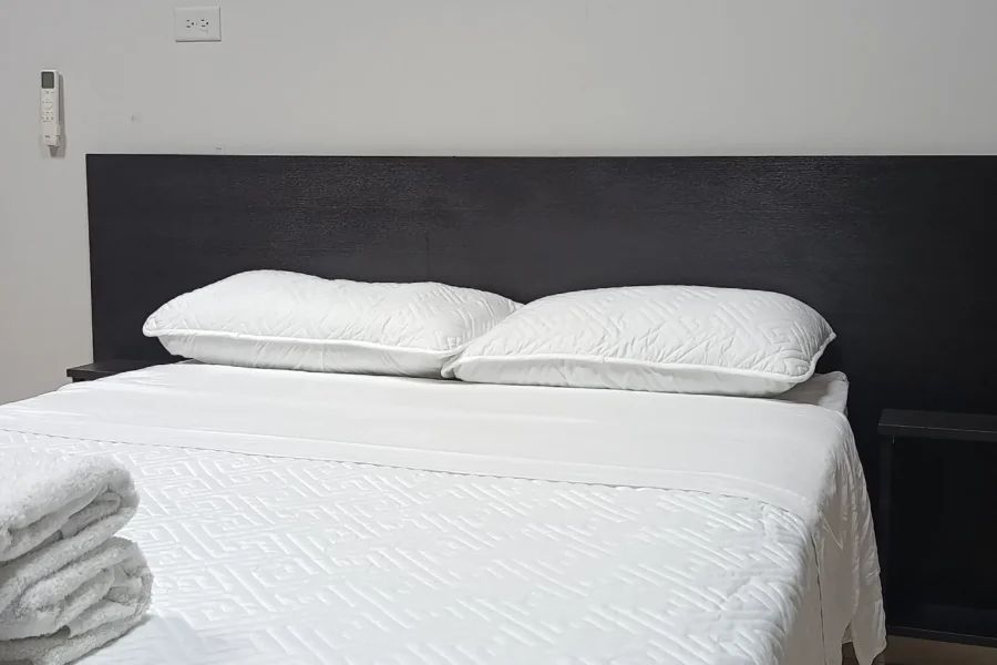 Apartamento Sencillo y Privado en David Chiriquí (Apartamento 4)