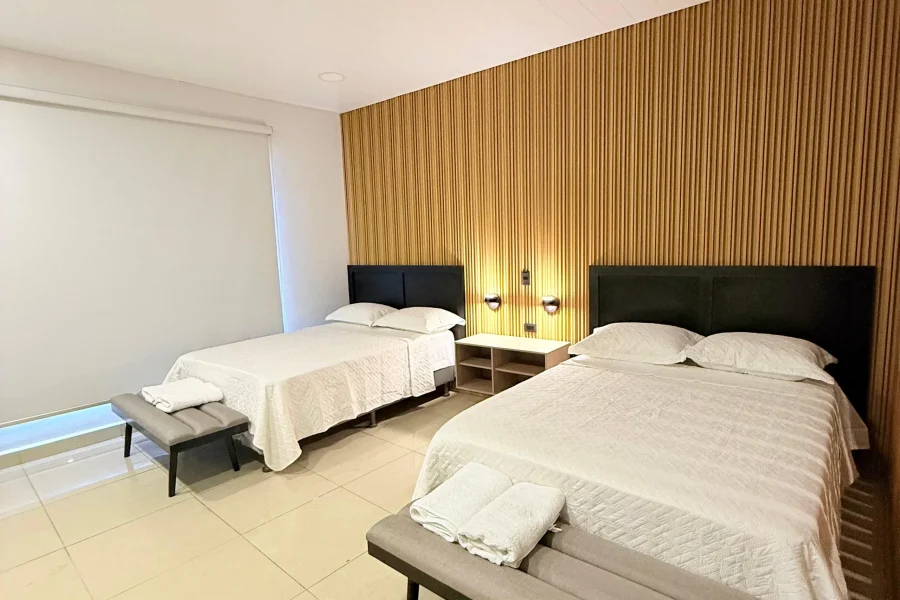 Apartamento céntrico, cómodo y espacioso en David Chiriquí (Apartamento 17)